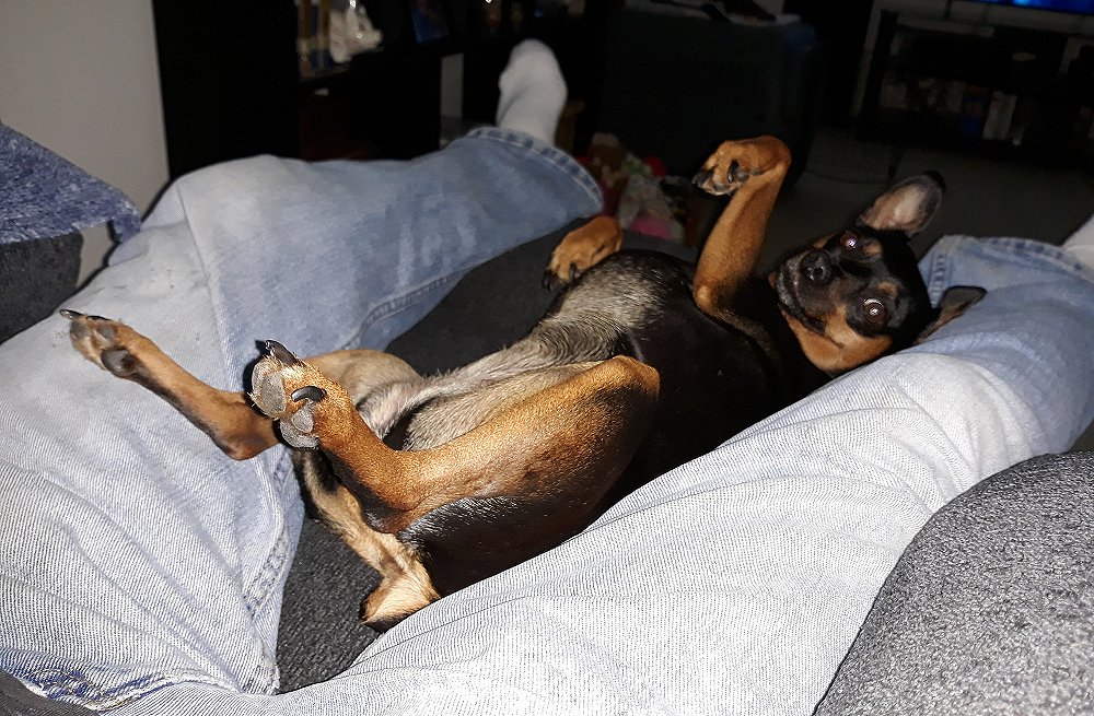 20250921_150346.jpg (198449 bytes)