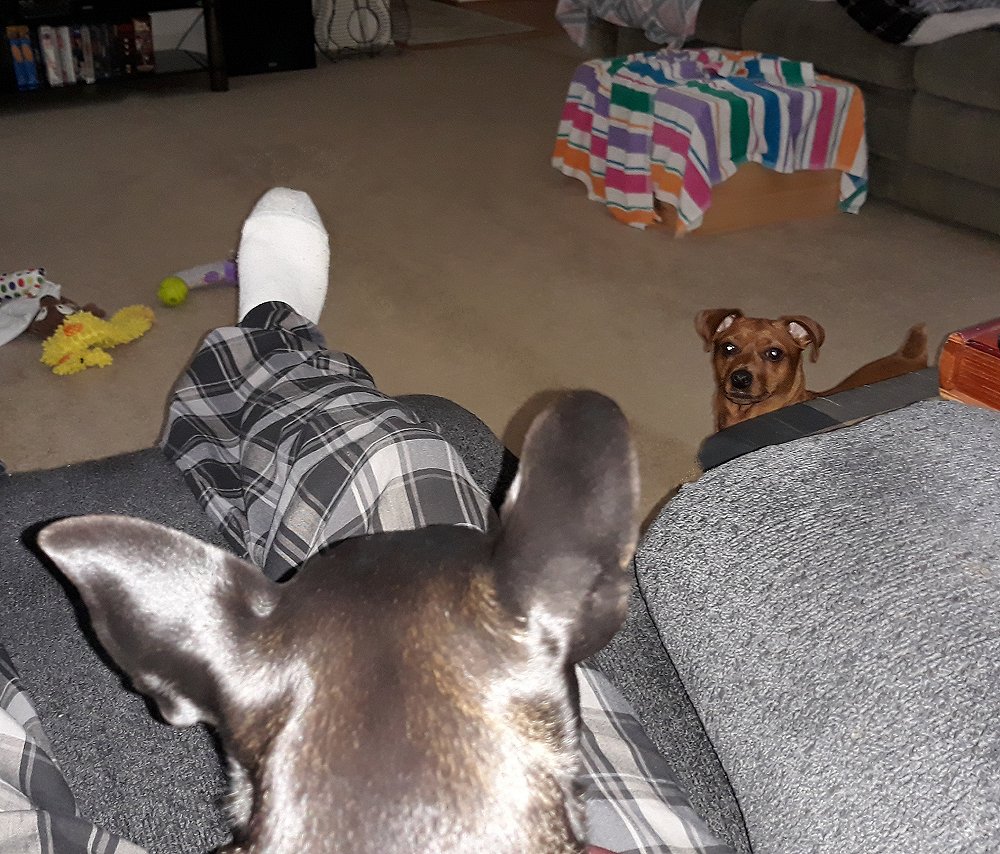 20251109_083721.jpg (216051 bytes)