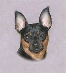 ARIES1.jpg (11762 bytes)