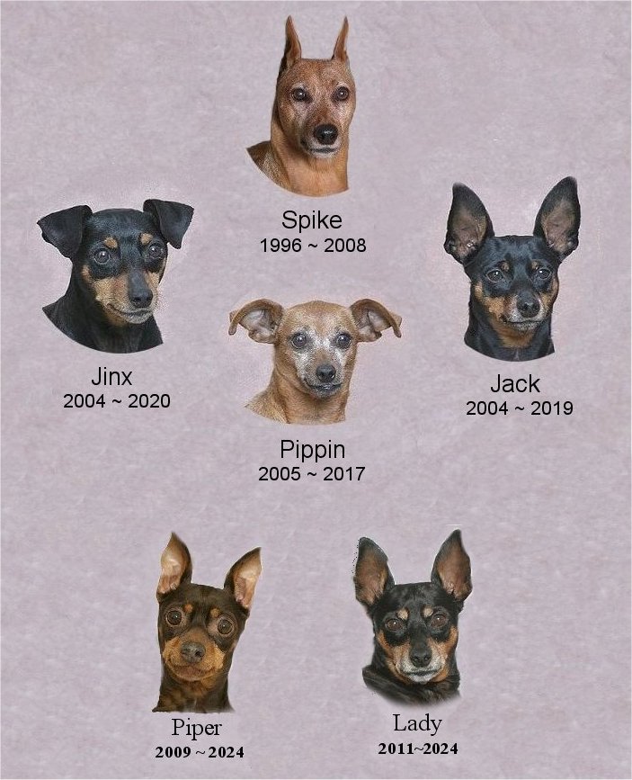 THEBUNCH.jpg (112443 bytes)