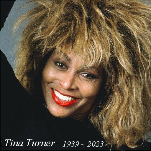 TinaTurner.jpg (74015 bytes)