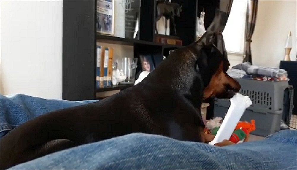 aries010126A.jpg (84618 bytes)