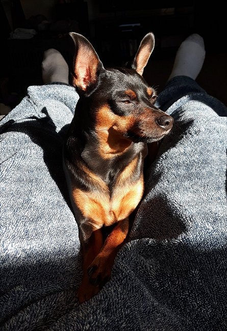 ariesjan1226a.jpg (109119 bytes)