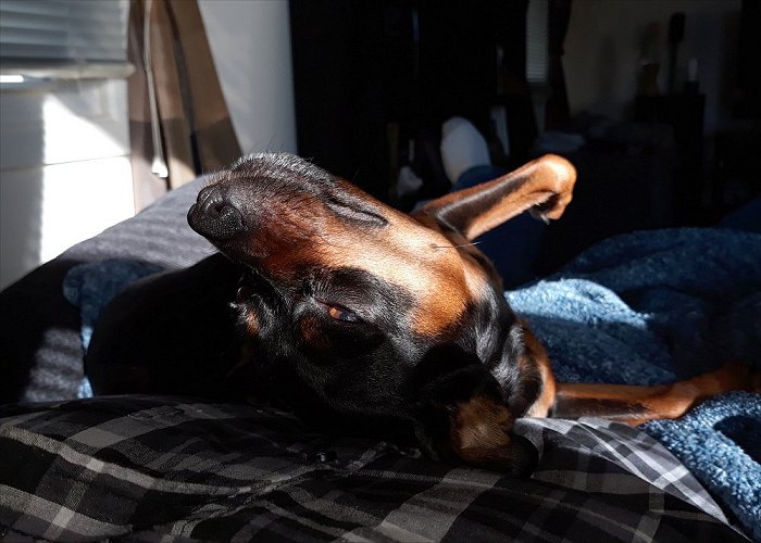 ariesjan1226b.jpg (69790 bytes)