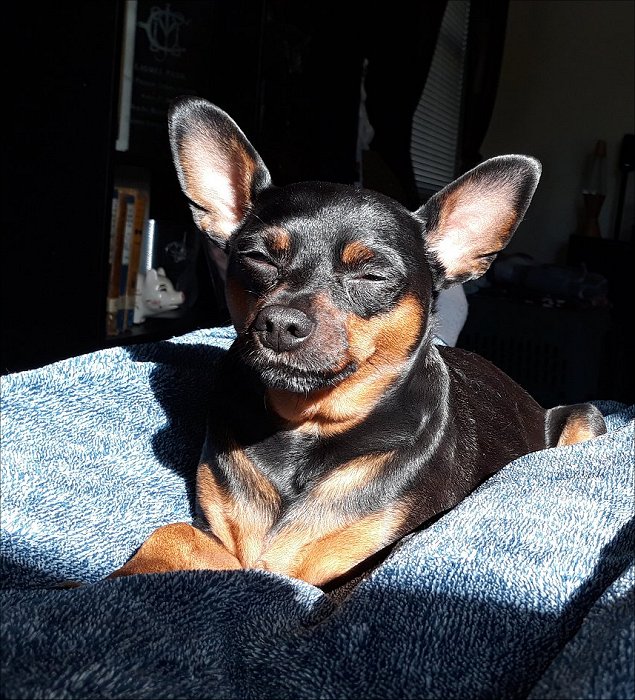 ariesjan1226c.jpg (138172 bytes)