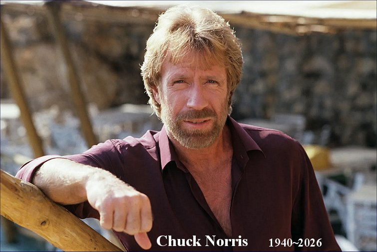 chucknorris.jpg (71966 bytes)