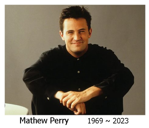 mathew-perry.jpg (27004 bytes)