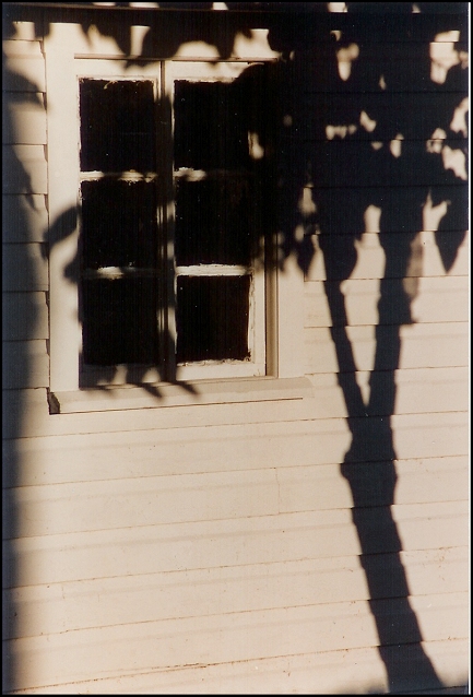 tree-shadow.jpg (168467 bytes)